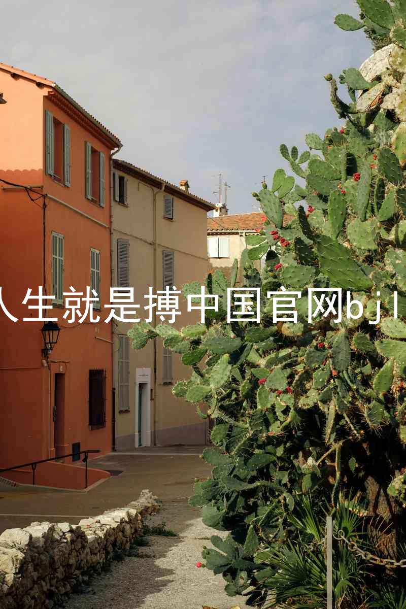 人生就是搏中国官网bjl8